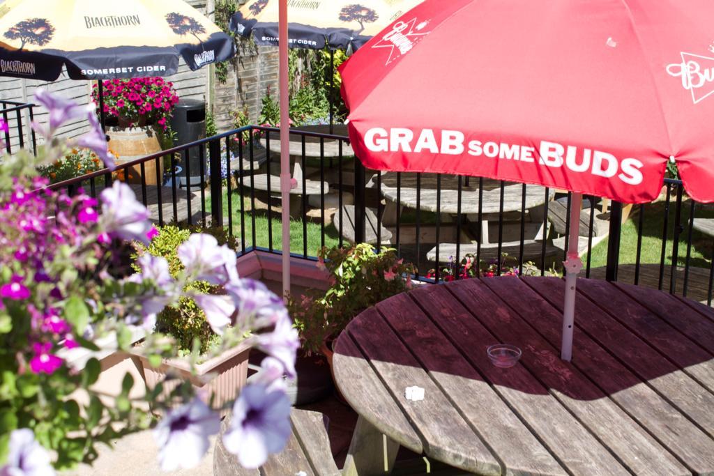 The Pilot Inn Eastbourne Ngoại thất bức ảnh